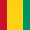 Discount Guinea flag Flag & Vindposer