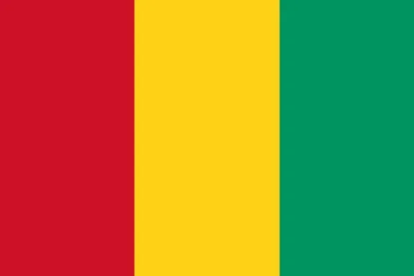 Discount Guinea flag Flag & Vindposer