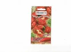 Frø^Habanero rød chili peber 0,15 g PlantiCo frø
