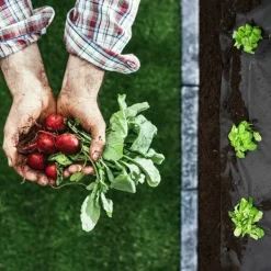 Hot Have agrotekstil 1 m x 75 m + 100 Plonos stifter - sort Haveduge