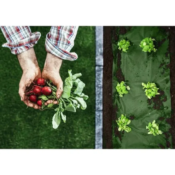 Haveduge^Haveagrotekstil 1,6 m x 50 m 90 g/m2 + 100 Plonos-nåle - sort og grøn