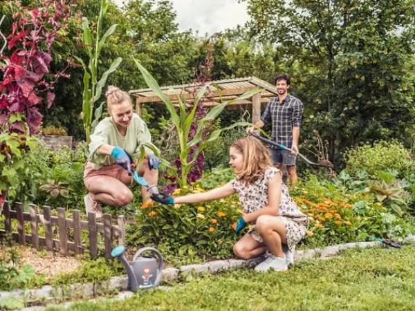 Gardena Haveværktøj^HAVEHANDSKER S - HG-11500-20