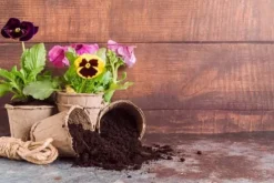 Jord & Sand^Havejord til stueplanter PSB 10L