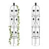 Krukker & Plantebeholdere^Haveobelisk, sæt med 2 metal planteunderstøtninger, 103x20 cm, sort