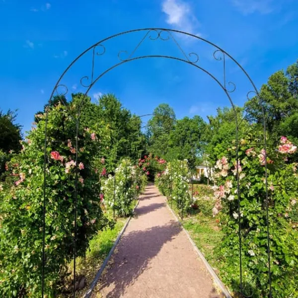 Online Havepergola, Elegant Metalbue, Velegnet til Klatreplanter,sort Buer, Spalier, Lysthuse Uden Tag