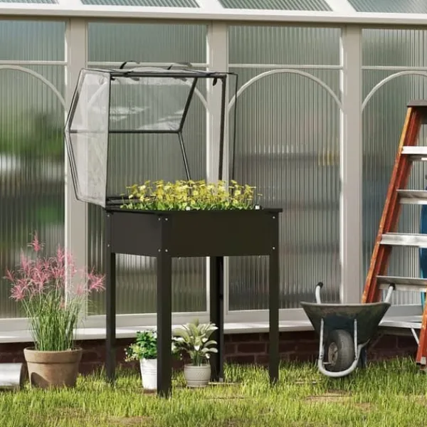 Discount Højbedsplantekasse med overdækning 60x60x120 cm, metal med dræning – vejrbestandigt urte-/grøntsagsbed, sort Drivhus