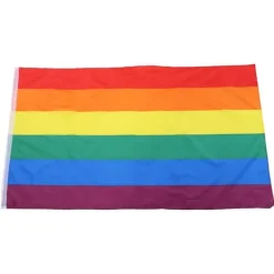 Hot Håndviftende Regnbueflag Banner Polyester Gay Pride Lesbisk Flag med Øjer Flag & Vindposer