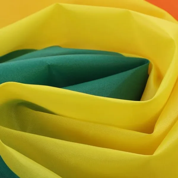 Hot Håndviftende Regnbueflag Banner Polyester Gay Pride Lesbisk Flag med Øjer Flag & Vindposer