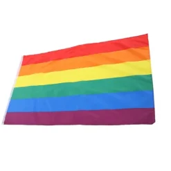 Hot Håndviftende Regnbueflag Banner Polyester Gay Pride Lesbisk Flag med Øjer Flag & Vindposer