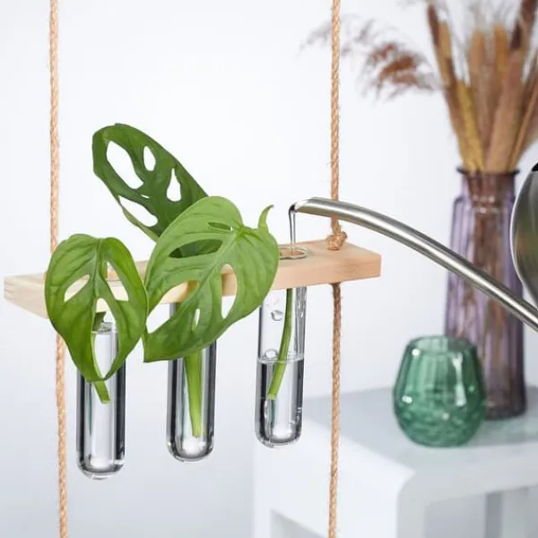 Kit Til Plante- & Urtedyrkning^Hængende planteformeringsstation, 54x20x4,5 cm, Natur