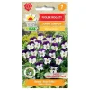 Sale Hornviol frø Johnny Jump Up - Farverig og blomsterrig staude Frø
