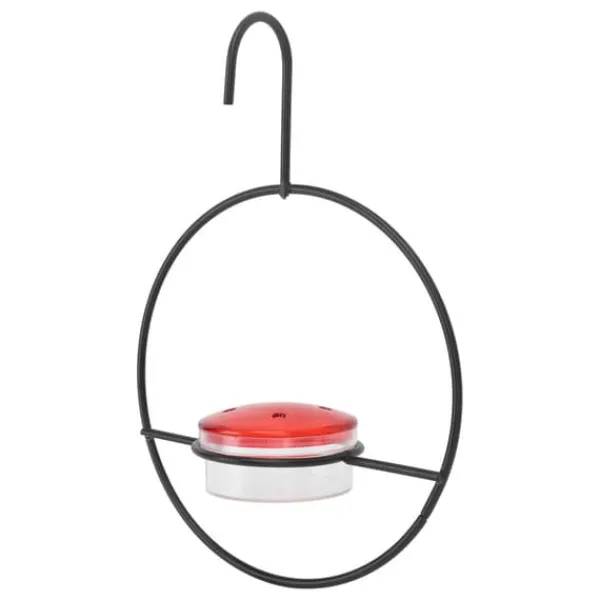 Til Fugle & Småvildt^Hummingbird feeder Smuk letvægts hængende fugle feeder med 4 porte til udendørs baghave