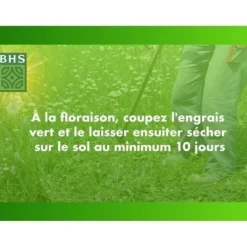 Frø^Hvidkløver - BHS - 500 m² | Fremmer biodiversiteten, tilpasser sig alle jordtyper og modstår nedtrampning.