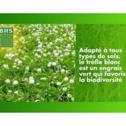 Frø^Hvidkløver - BHS - 500 m² | Fremmer biodiversiteten, tilpasser sig alle jordtyper og modstår nedtrampning.