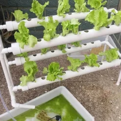 Best Hydroponisk dyrkningssæt - System med 36 huller - To lag - Huldiameter 32 mm - Pumpe 220V/50Hz - Til altan - Vandtank medfølger ikke - Lysegrå Kit Til Plante- & Urtedyrkning