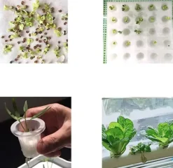 Kit Til Plante- & Urtedyrkning^Hydroponisk dyrkningssystem - Indendørs gro-kit - 36 plantehuller - 2 niveauer - Til urter og grøntsager - Hvid
