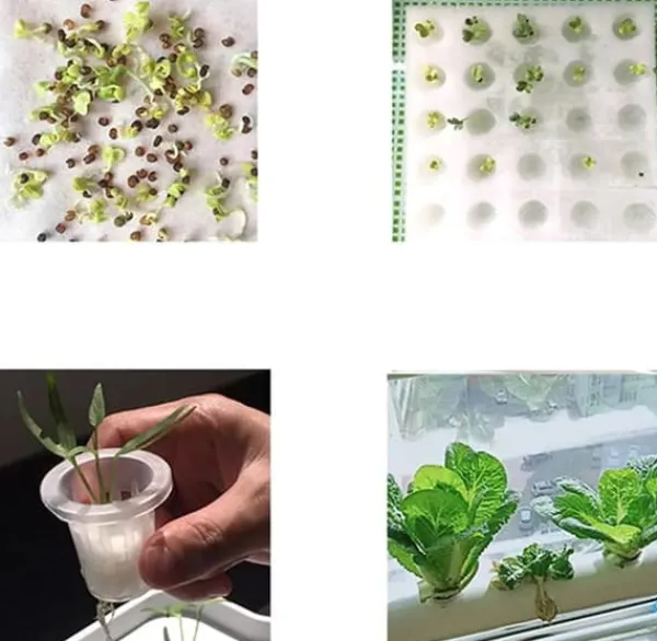Kit Til Plante- & Urtedyrkning^Hydroponisk dyrkningssystem - Indendørs gro-kit - 36 plantehuller - 2 niveauer - Til urter og grøntsager - Hvid
