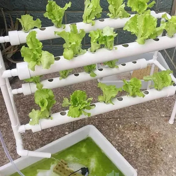 Kit Til Plante- & Urtedyrkning^Hydroponisk dyrkningssystem - Indendørs gro-kit - 36 plantehuller - 2 niveauer - Til urter og grøntsager - Hvid