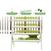 Kit Til Plante- & Urtedyrkning^Hydroponisk Vækstsæt, PVC Materiale, 36 Plantepladser, Dimensioner 95 x 45 x 100 cm, Vandpumpe Spænding DC 12V, Maksimal Pumpeflow 200 L/h