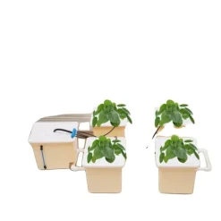 Kit Til Plante- & Urtedyrkning^Hydroponisk Vækstsysteem, 4 Spande, Effektiv Vandpumpe,lys gul