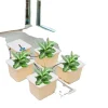 Kit Til Plante- & Urtedyrkning^Hydroponisk vækstsysten, 4 plantebeholdere, effektiv DWC-system, højkapacitets vandpumpe