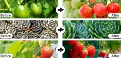 Kit Til Plante- & Urtedyrkning^Indendørs plante vokse let med 4 hoveder, fleksibel svanehals. 10 niveauer, 3 tilstande