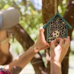 Clearance Insektshotel, 20x17x8.5 cm, Grøn Til Fugle & Småvildt