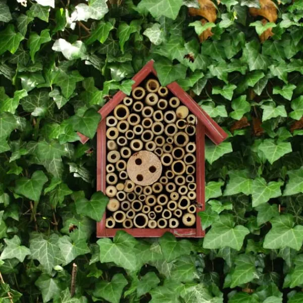 Til Fugle & Småvildt^Insektshotel, 20x17x8,5 cm, Rød