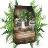 New Jord til grønne stueplanter Bigos 8L let, permeabelt substrat Jord & Sand