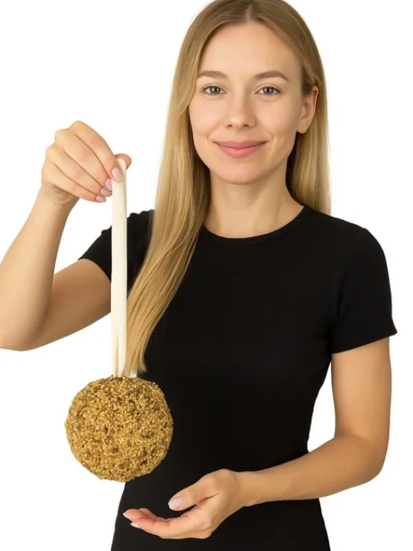 Til Fugle & Småvildt^JR FARM Piletønde med delikatesser - til leg og gnask for alle papegøjer 55g
