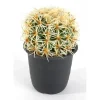 Krukkeplanter Indendørs^KAKTUS blomsterkugle 16,5 cm | 8623501400