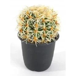 Krukkeplanter Indendørs^KAKTUS blomsterkugle 16,5 cm | 8623501400