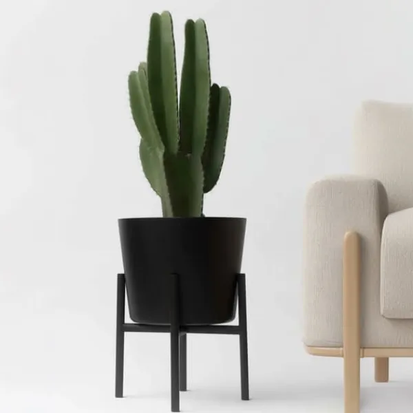 Krukkeplanter Indendørs^Kandelabertræ - Euphorbia ingens - Højde 85-95cm - ⌀24cm