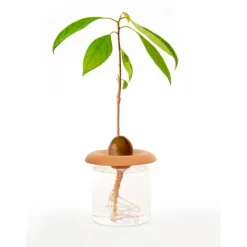 Clearance Kikkerland Terracotta - Frøspirer (CD535) Kit Til Plante- & Urtedyrkning