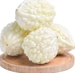 Frø^Kinesiske bittermelon hvide perlefrø til hjemmehave 10+ stk.