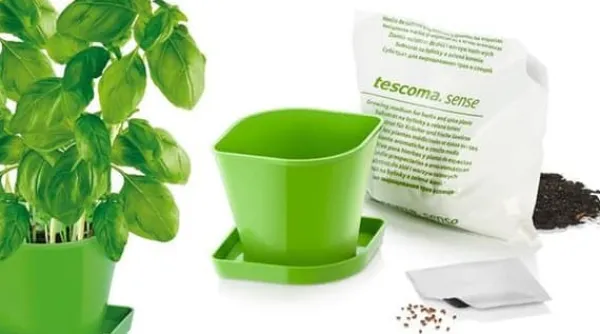 Kit Til Plante- & Urtedyrkning^Køkkenprodukt SENSE farve grøn tescoma
