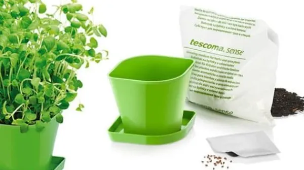 New Køkkenprodukt SENSE farve grøn tescoma Kit Til Plante- & Urtedyrkning