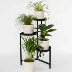 Krukkeplanter Indendørs^Kæledyrsvenlige stueplanter - Sæt 4 - Pet Friendy Mix - Højde 25-40cm - ⌀12cm
