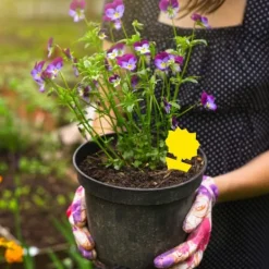 Discount Klistret fælde til insekter med solsikkemønster gul 20-pak Skadedyrsfælder