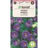 New Klokkevin frø lilla - hurtigtvoksende klatreplante med store klokkeformede blomster Frø