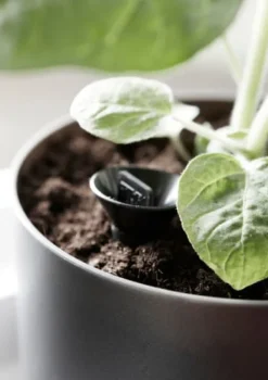 Online Kruka m långtidsbevattn. Paulina ø 14 cm Svart Krukker & Plantebeholdere