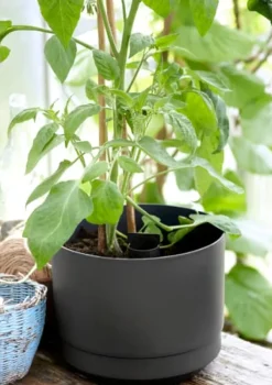 Online Kruka m långtidsbevattn. Paulina ø 14 cm Svart Krukker & Plantebeholdere