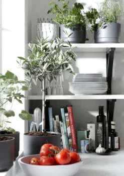 Online Kruka m långtidsbevattn. Paulina ø 14 cm Svart Krukker & Plantebeholdere
