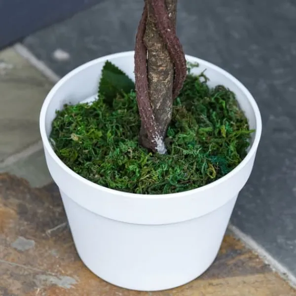 Krukkeplanter Indendørs^Kunstig rosenbusk 90 cm med potte, til hjem, kontor & have