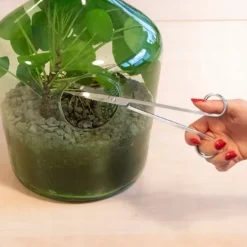 Haveværktøj^Langbladet saks til planter i glas