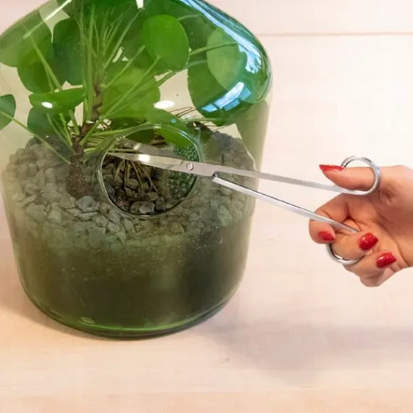 Haveværktøj^Langbladet saks til planter i glas
