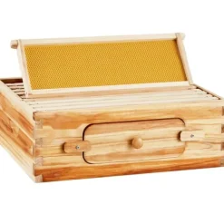 Til Fugle & Småvildt^Langstroth Medium Biavl Kittet, 10 Rammer, Akryl Biavlsvinduer, Holdbar Konstruktion, Let at Montere