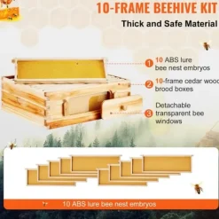 Til Fugle & Småvildt^Langstroth Medium Biavl Kittet, 10 Rammer, Akryl Biavlsvinduer, Holdbar Konstruktion, Let at Montere