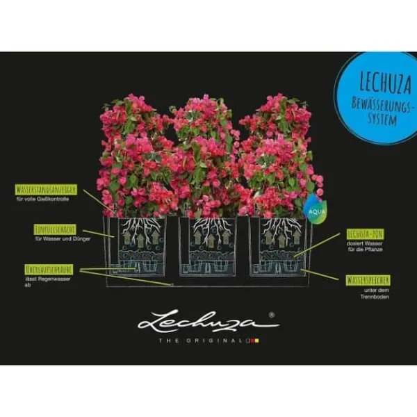 Krukker & Plantebeholdere^LECHUZA Trio Cottage 30 Blomkruka - Komplett Kit Ljusgrå