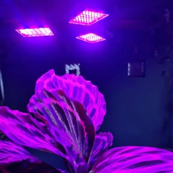 Kit Til Plante- & Urtedyrkning^LED belysning til planter